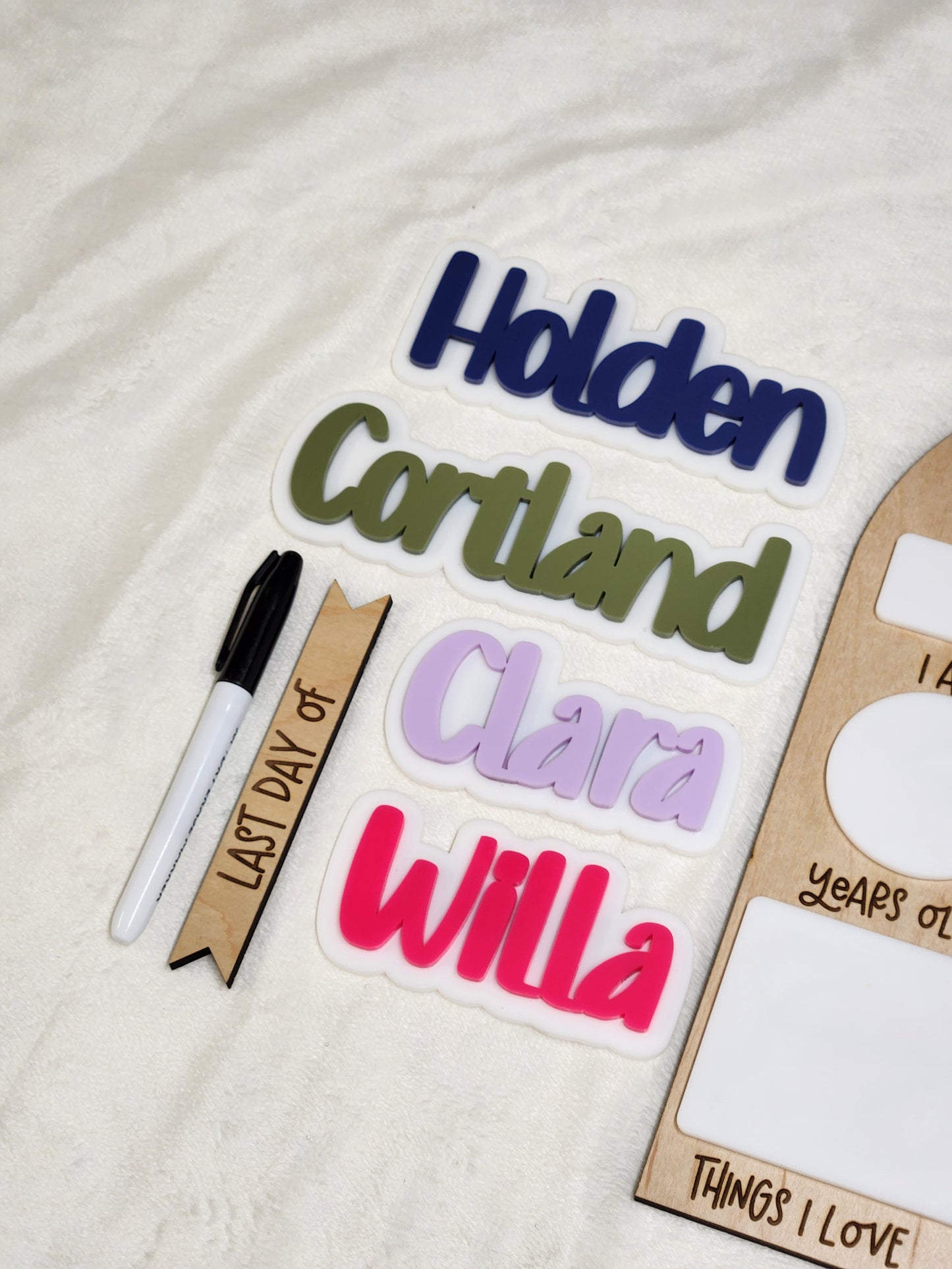 Interchangeable Back To School Signs