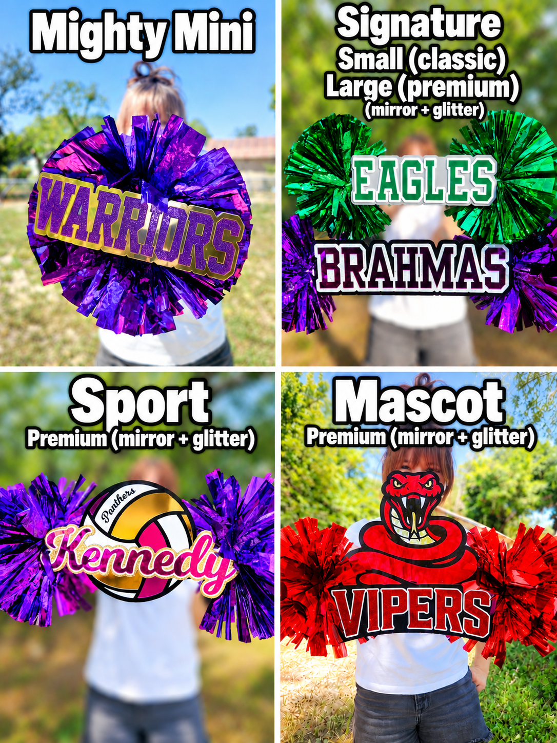 Mascot Spirit Stick